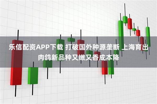 乐信配资APP下载 打破国外种源垄断 上海育出肉鸽新品种又嫩又香成本降
