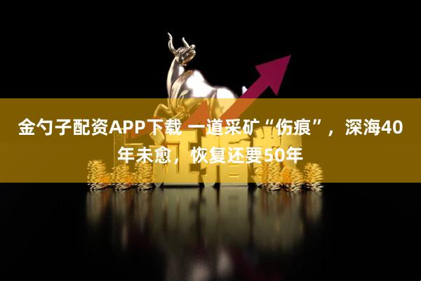 金勺子配资APP下载 一道采矿“伤痕”，深海40年未愈，恢复还要50年