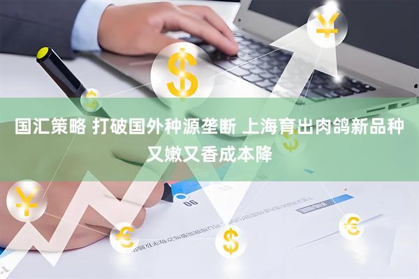 国汇策略 打破国外种源垄断 上海育出肉鸽新品种又嫩又香成本降