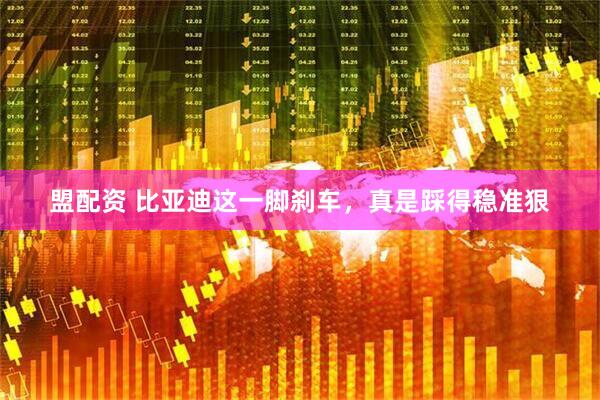 盟配资 比亚迪这一脚刹车，真是踩得稳准狠