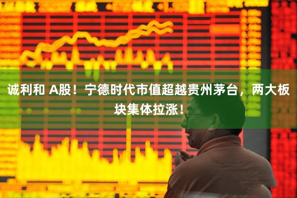 诚利和 A股！宁德时代市值超越贵州茅台，两大板块集体拉涨！
